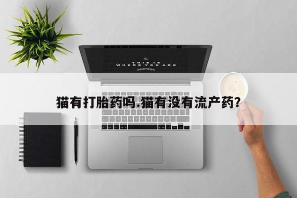 流产药在线购买微信猫有打胎药吗.猫有没有流产药？